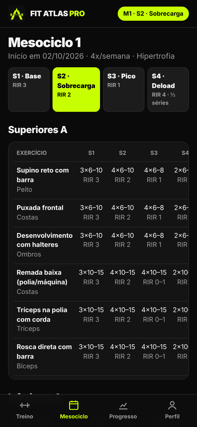 Visão do mesociclo de 4 semanas